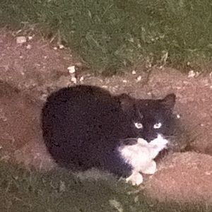 Meet your Posher, Cory